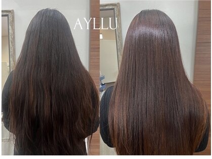 アイジュ(AYLLU)の写真