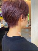 コーラルピンクショート