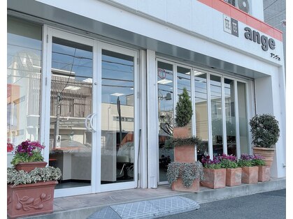 テットアテットアンジュ(TETE A TETE ange)の写真