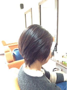 ドルセット ショート