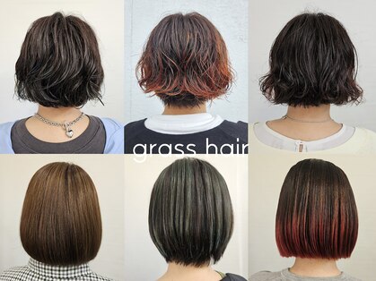 グラスヘアー(grasshair)の写真