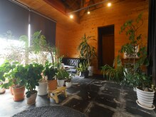 アルカ(arca)の雰囲気（広々とした緑の溢れる空間です。）