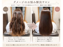 セイロン(CEYLON)