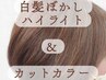 【初回限定】【白髪ぼかしハイライト＋艶カラーカット】　18700→17000