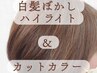 【初回限定】【白髪ぼかしハイライト＋艶カラーカット】　18700→17000