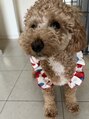 タイ(～tie.)&nbsp;愛犬娘　　むぎ