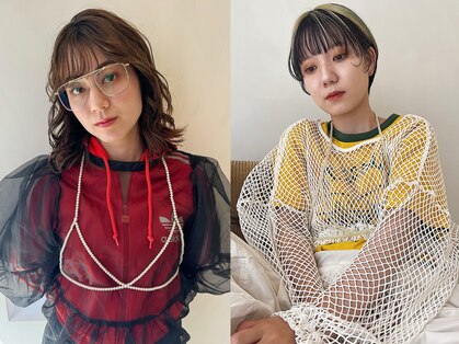 シプレ(cipre)の写真
