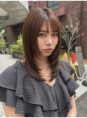 ハッシュカット/シースルーバング／フレンチバング／レイヤー