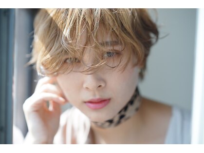 ラソ バルコ(LAZO barco)の写真