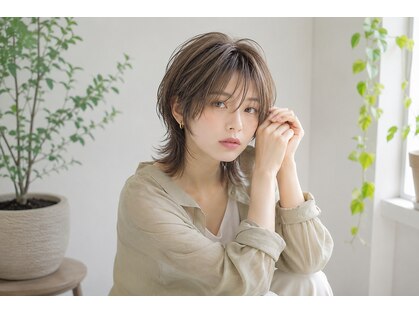 ヴィルゴ(Virgo)の写真