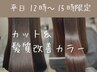 【平日 12～15時限定】  カット＋髪質改善カラー │ 白髪染めもOK♪