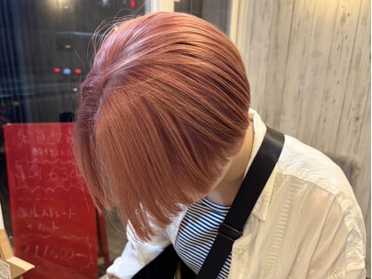ジェミニ(Gemini)の写真