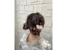 『卒業式/入学式』事前予約◎ヘアセット+袴 着付け【￥12,500～】