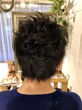 ウィービーパセリ(webeparsley by Johji Group) カジュアルパーマ  担当  菊池健一郎