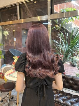 キュリオ(CURIO) lavender color