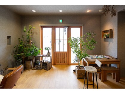 ハーフ(HALF)の写真