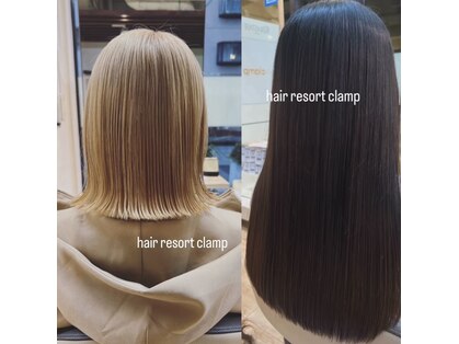 ヘアリゾートクランプ(hair resort clamp)の写真