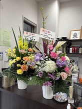 ヘアースペースバリエーションプラスワン(HairSpace Variation plus 1)&nbsp;vari 本部