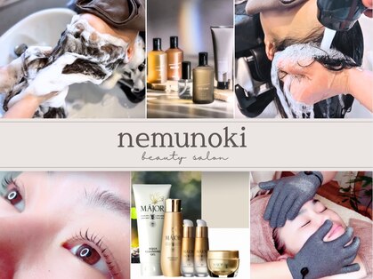 ネムノキ(nemunoki)の写真