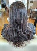 美彩ハイブリッド（スモーキーブラウン）