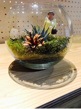 スターダスト(STAR DUST.)&nbsp;NEW STAFF