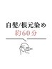 ☆根元3cm以内☆ ベーシックカラー+コラーゲン　￥3,080