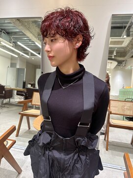 ホロ(hollo) マッシュウルフパーマショートプードルパーマ