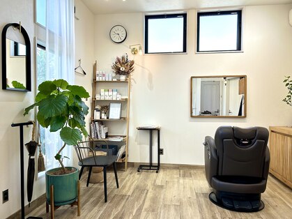 アエル(aelu)の写真