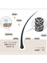 毛穴からキレイな頭皮に
