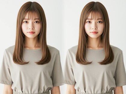 シスタ(SISTA)の写真