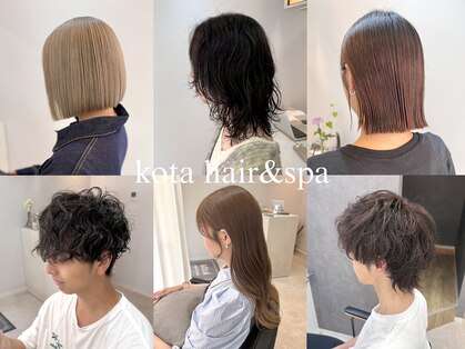 コタ(kota)の写真