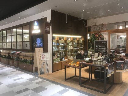 テン アヴェダ(TEN AVEDA)の写真
