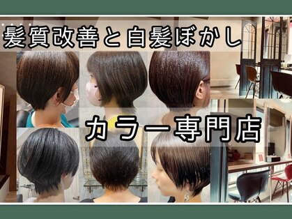 トライウィークリー(3w)の写真