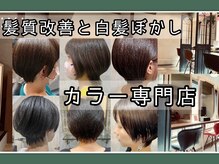 トライウィークリー(3w)
