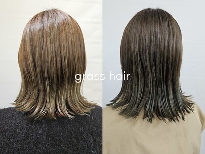 グラスヘアー(grasshair)の写真