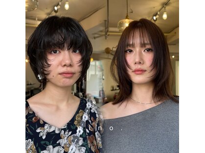 ピノ(pino.)の写真