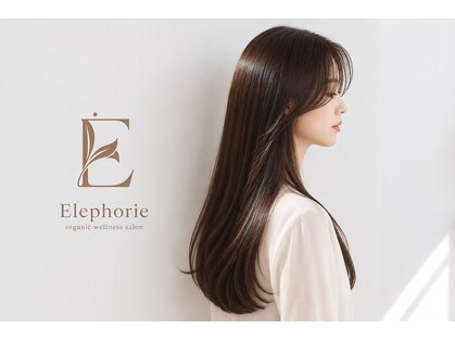エレフォリー(Elephorie)の写真