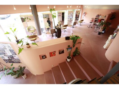 エルランブッ(elle Rambut)の写真