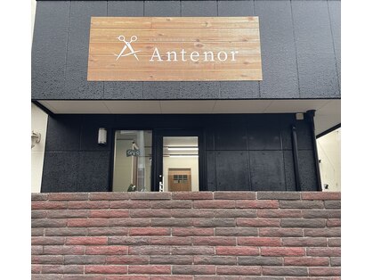 アンテノール(ANTENOR)の写真