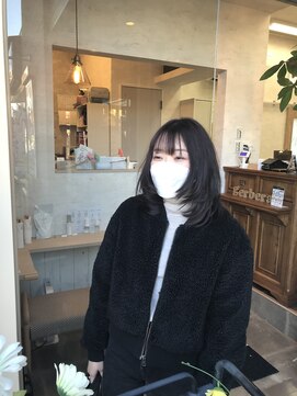 ガーベラ(gerbera) ミディアムウルフ