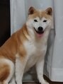 ミューテ(Mu-te)&nbsp;柴犬飼ってます！