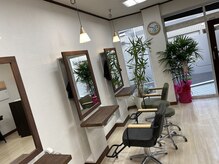 ヘアーワークス アローズ(HAIR WORKS ARROWS)の雰囲気（植物と白を基調とした明るい店内◇薬剤にもこだわっております。）