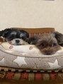 ヨエン(YOEN)&nbsp;愛犬を溺愛しています!!!話し出すとにやにやします