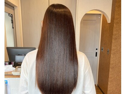 テラ(teRra)の写真