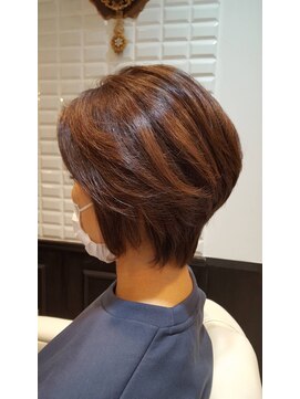 ルピナス(Lupinus) 前下がりグラデーション