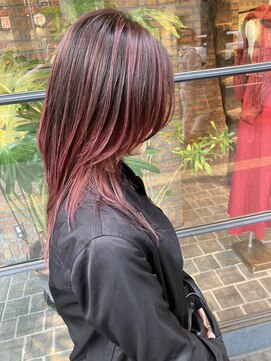 ノース(THE NORTH) 【ＴＨＥ　ＮＯＴＨＲ】エアタッチ/バレイヤージュ