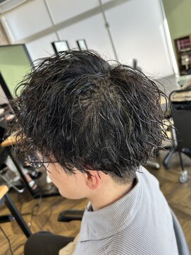 ステレオ ヘアデザイン 安城店(STEREO HAIR DESIGN) …ツイストスパイラル(3月)…
