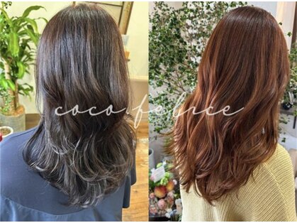 ココ フェリーチェ(coco.Felice)の写真