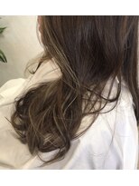 メイン クーン(Maine Coon)&nbsp;品のあるアクセントカラー