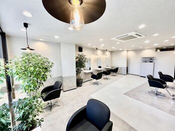 rashisa【ラシサ】